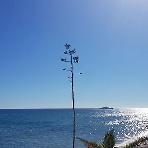 Pilki Carboneras